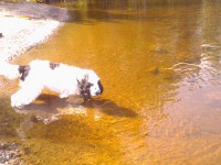 /album/patu/whoo13-330-jpg/